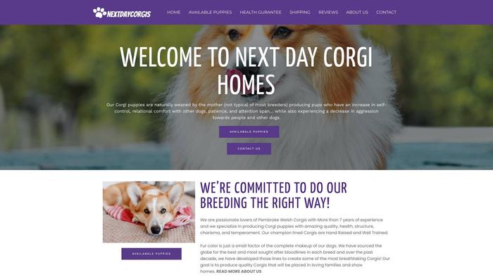 Nextdaycorgis.com - Corgi Puppy Scam Review