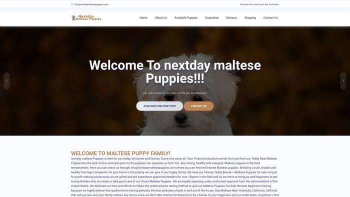 Nextdaymaltesepuppies.com - Maltese Puppy Scam Review