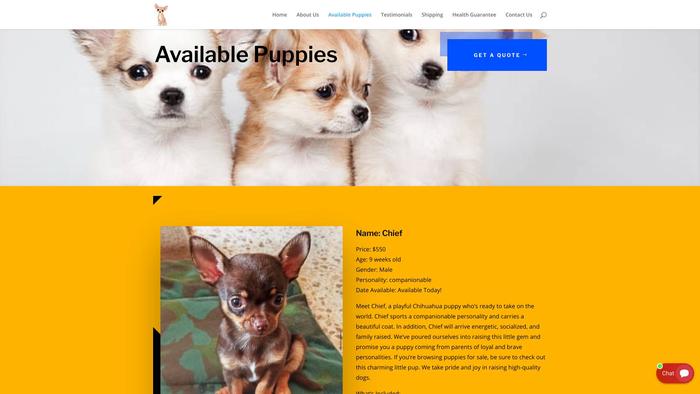 Nexuschihuahuahome.com - Chihuahua Puppy Scam Review