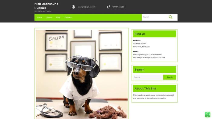 Nickdachshundpuppies.com - Dachshund Puppy Scam Review