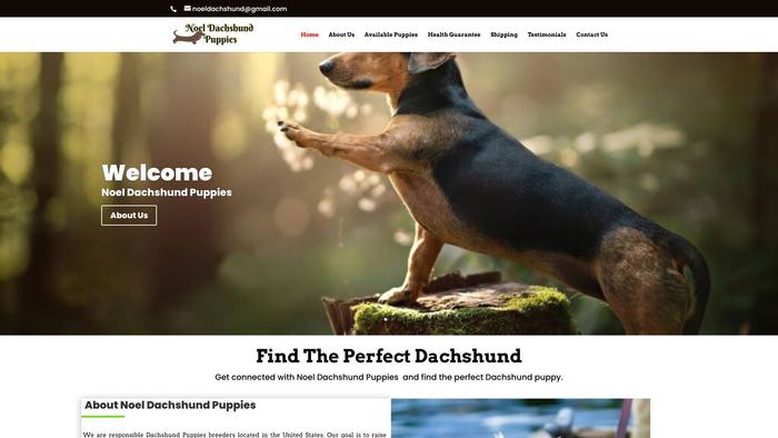 Noeldachshundpuppies.com - Dachshund Puppy Scam Review