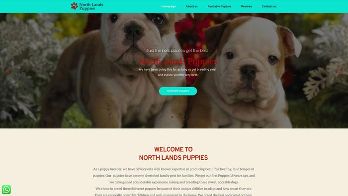 Northlandspuppies.com - Pit Bull Puppy Scam Review