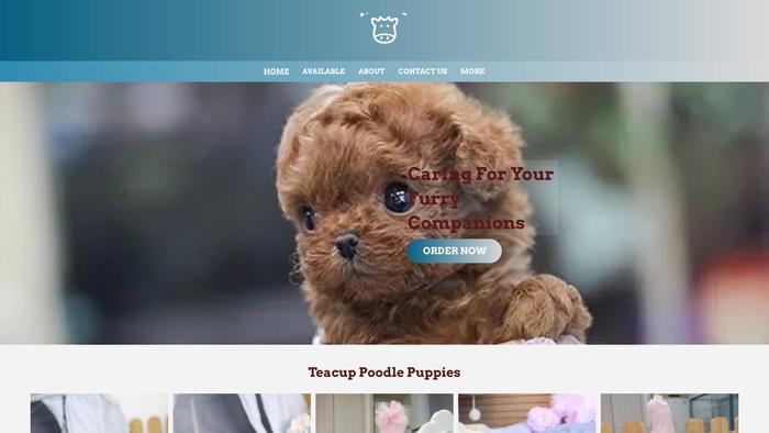 Okcteacuppoodlepuppies.com - Poodle Puppy Scam Review