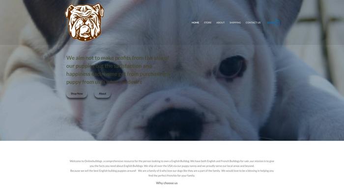 Onlinebulldogs.com - Bulldog Puppy Scam Review