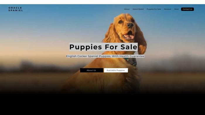 Oraclespaniel.com - Spaniel Puppy Scam Review