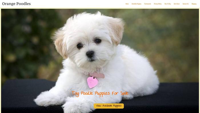 Orangepoodles.rebeccaorange.com - Maltipoo Puppy Scam Review