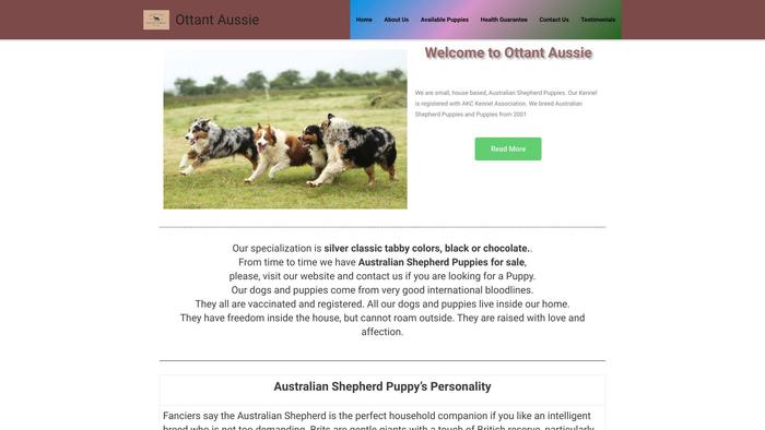 Ottaussiepuppies.com - Australian Shepherd Puppy Scam Review