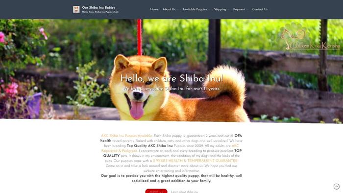 Ourshibainubabies.com - Shibhainu Puppy Scam Review