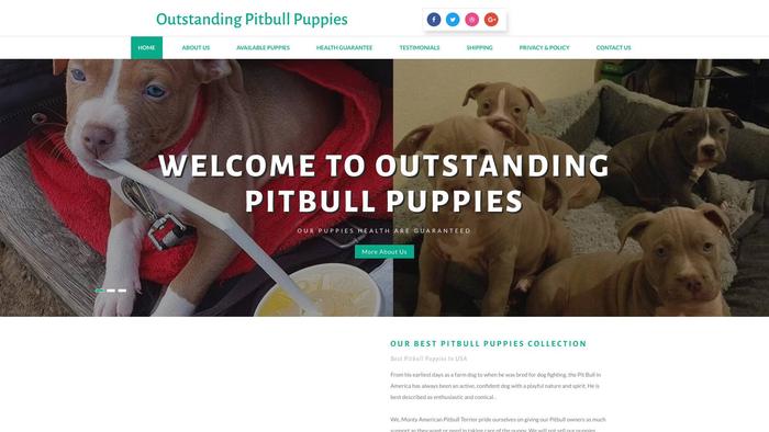 Outstandingpitbullpuppies.net - Pit Bull Puppy Scam Review