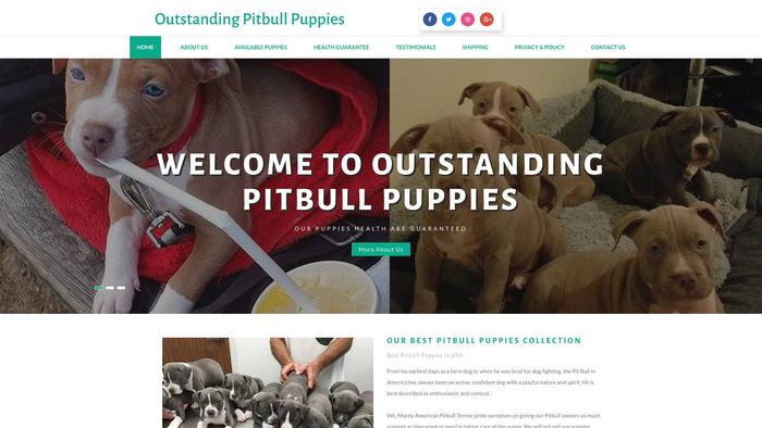 Outstandingpitbullpups.com - Pit Bull Puppy Scam Review