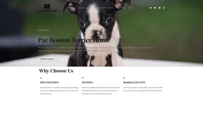 Pacbostonterrierhome.com - Boston Terrier Puppy Scam Review