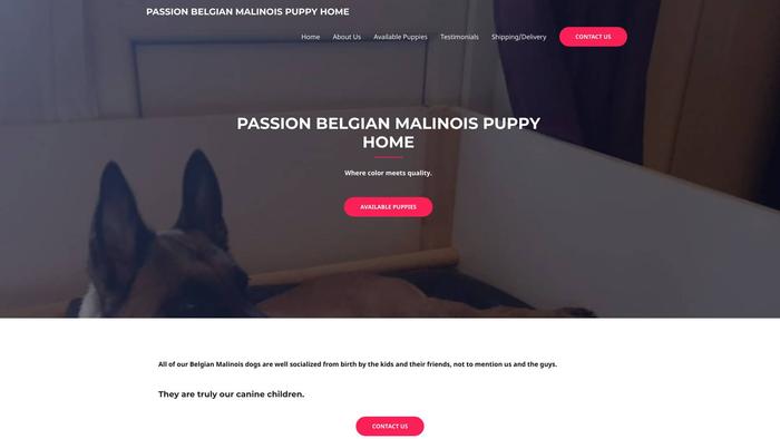 Passionbelgianmalinoispuppyhome.com - Germanshepherd Puppy Scam Review