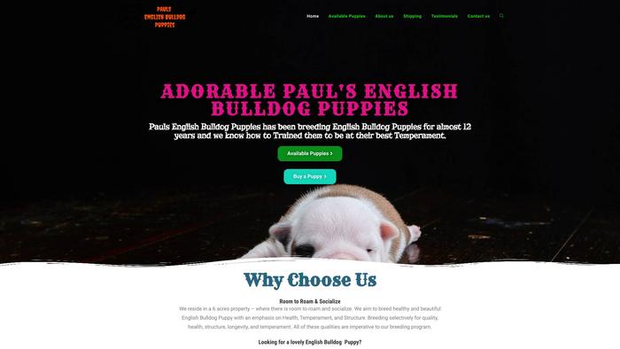 Paulsenglishbulldogsforsale.com - English Bulldog Puppy Scam Review