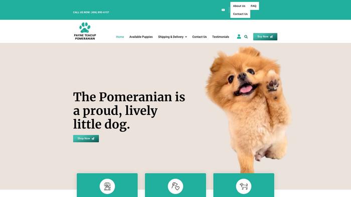 Payneteacuppomeranian.com - Pomeranian Puppy Scam Review