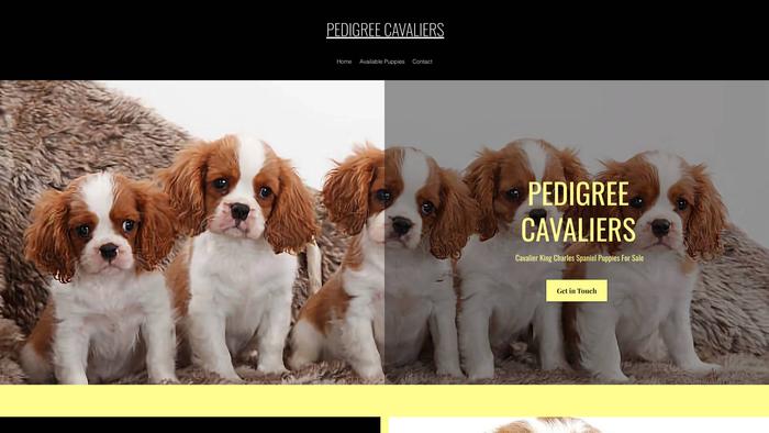 Pedigreecavaliersks.com - Cavalier King Charles Spaniel Puppy Scam Review