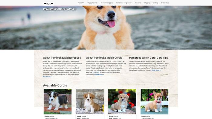 Pembrokewelshcorgpups.com - Corgi Puppy Scam Review