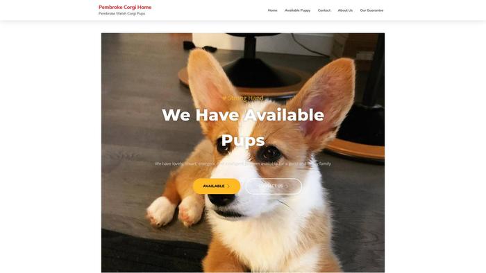 Pembrokewelshpup.com - Corgi Puppy Scam Review