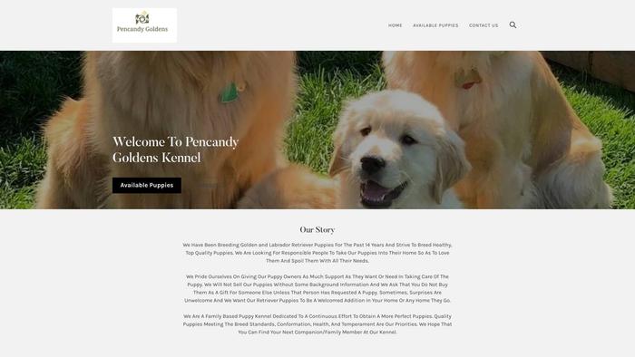 Pencandygoldenkennel.com - Labrador Puppy Scam Review