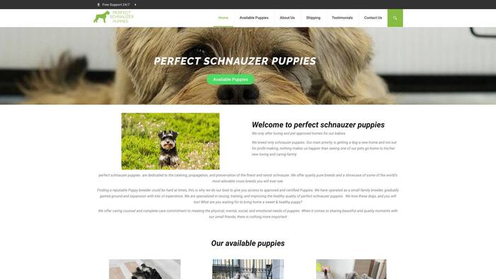 Perfectschnauzerpuppies.com - Schnauzer Puppy Scam Review