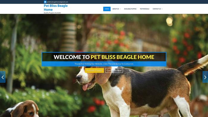 Petblissbeaglehome.com - Beagle Puppy Scam Review