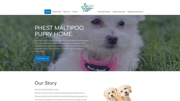 Phestmaltipoo.com - Maltipoo Puppy Scam Review