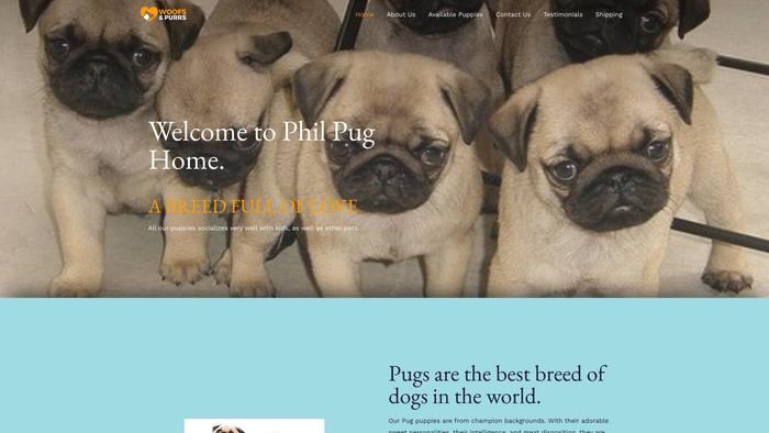 Philpugpuppies.com - Pug Puppy Scam Review