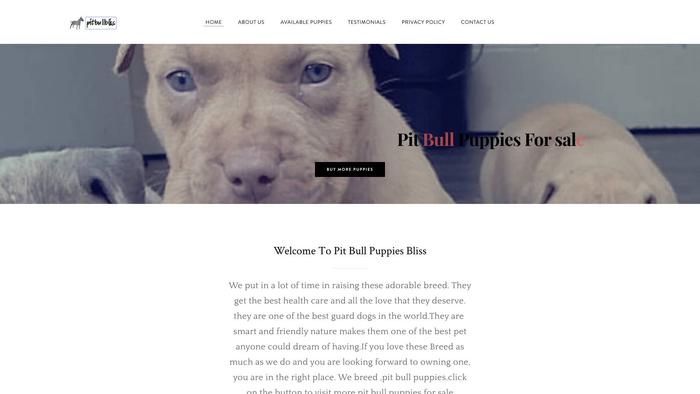 Pitbullpuppiesbliss.com - Pit Bull Puppy Scam Review