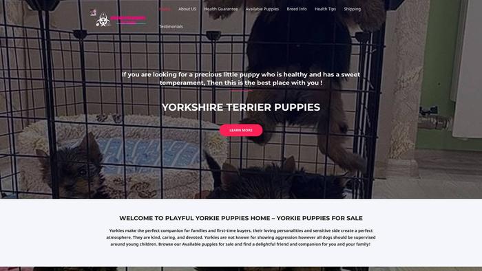 Playfulyorkiepuppiesfurhome.com - Yorkshire Terrier Puppy Scam Review