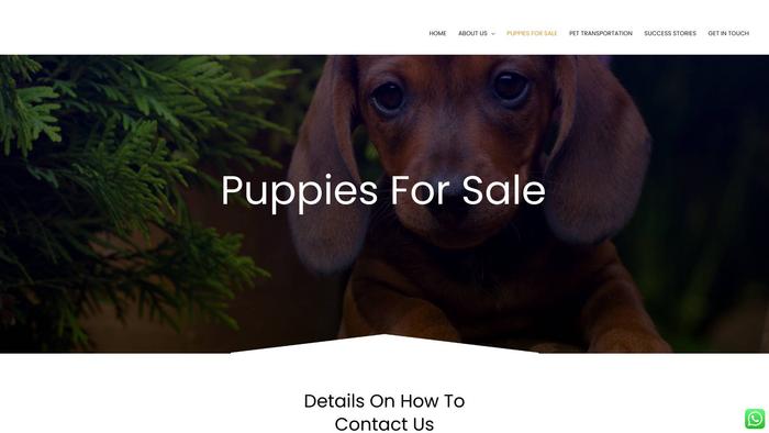 Polbathicdachshunds.com - Dachshund Puppy Scam Review