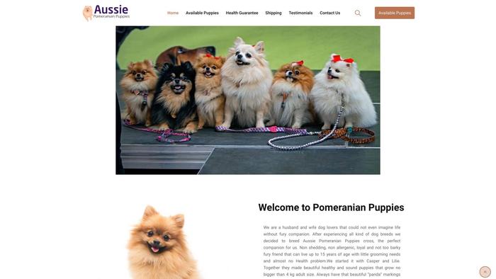 Pomeranianpuppies-au.com - Australian Shepherd Puppy Scam Review