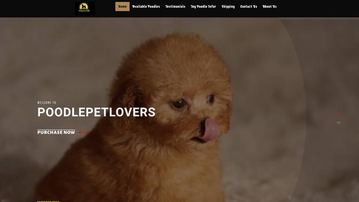 Poodlepetlovers.com - Poodle Puppy Scam Review