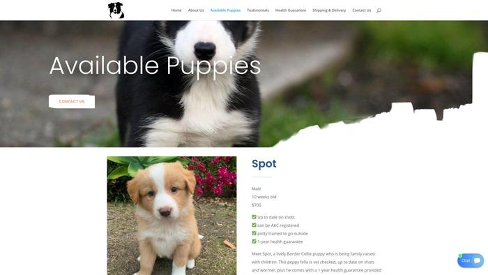 Pottytrainedbordercolliepups.com - Bordercollie Puppy Scam Review