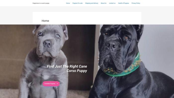 Pottytrainedcanecorsopups.store - Cane Corso Puppy Scam Review