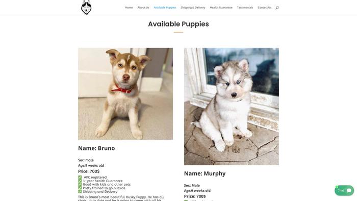 Pottytrainedhuskies.com - Husky Puppy Scam Review