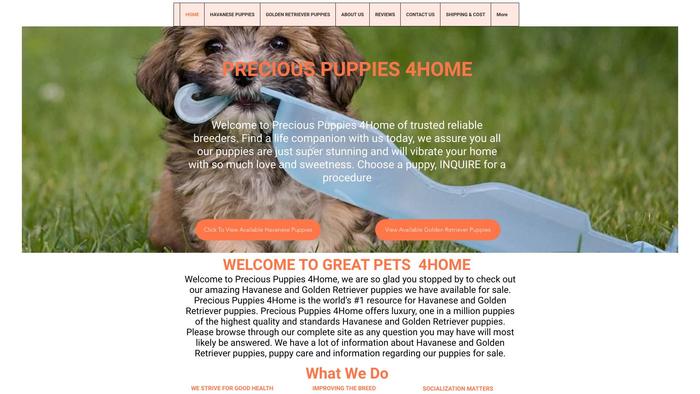 Preciouspuppies4homes.com - Golden Retriever Puppy Scam Review