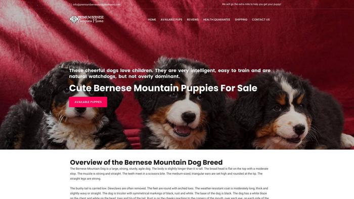 Premiumbernesepuppieshome.com - Bernese Mountain Dog Puppy Scam Review