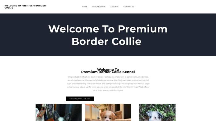 Premiumbodercoliepups.com - Bordercollie Puppy Scam Review