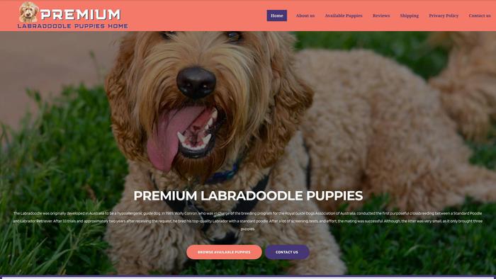 Premiumlabradoodle.com - Labradoodle Puppy Scam Review