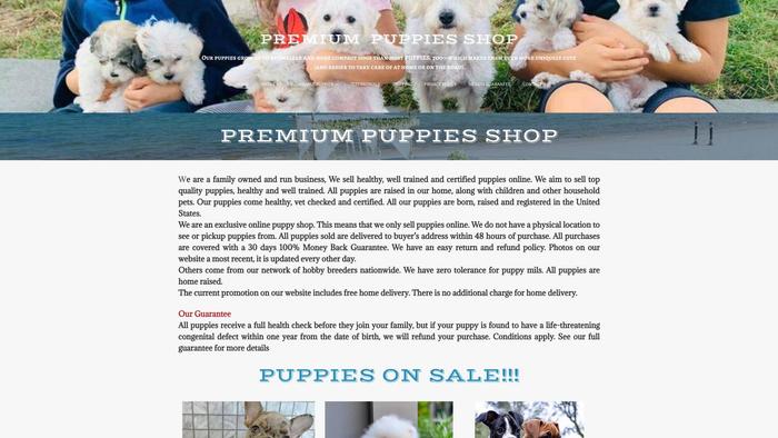 Premiumpuppiesshops.com - Maltese Puppy Scam Review