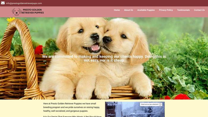 Prestogoldenretrieverpups.com - Golden Retriever Puppy Scam Review