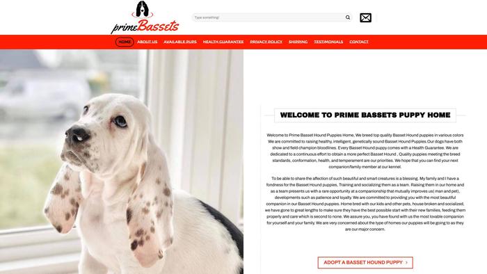 Primebassets.com - Bassethound Puppy Scam Review