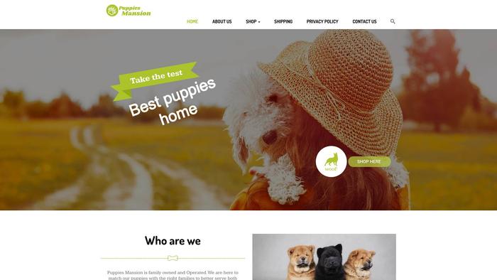 Puppiesmansion.com - Shihtzu Puppy Scam Review