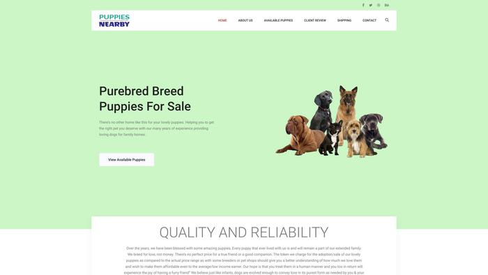 Puppiesnearby.com - Cavapoo Puppy Scam Review