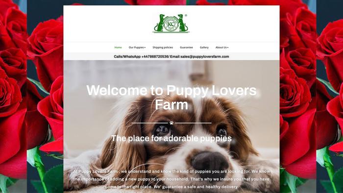 Puppyloversfarm.com - Cockapoo Puppy Scam Review