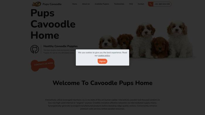 Pupscavoodle.com - Cavapoo Puppy Scam Review