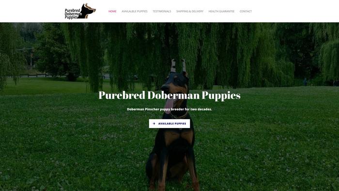 Purebreddobermanpuppies.com - Doberman Pinscher Puppy Scam Review