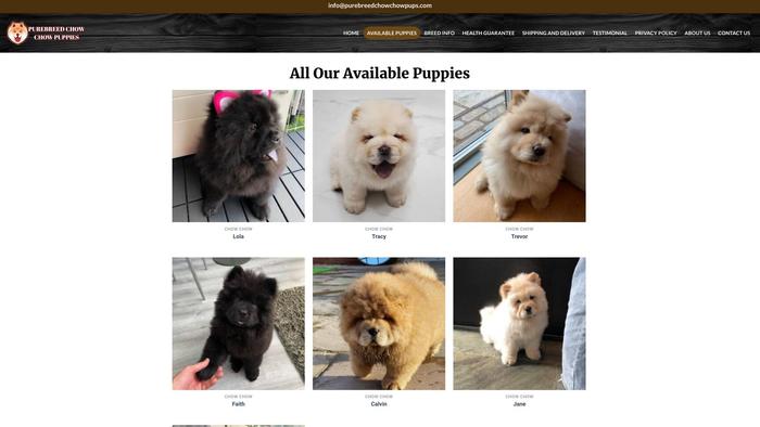 Purebreedchowchowpups.com - Chowchow Puppy Scam Review