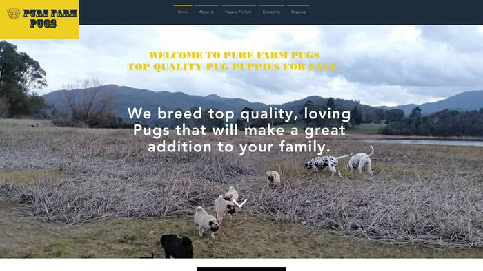 Purefarmpugs.com - Pug Puppy Scam Review