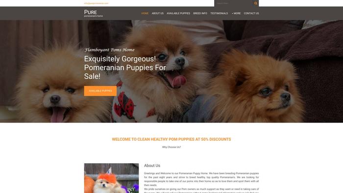 Purepomeranian.com - Pomeranian Puppy Scam Review