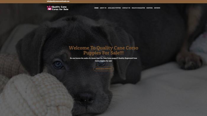 Qualitycanecorsoforsale.com - Cane Corso Puppy Scam Review